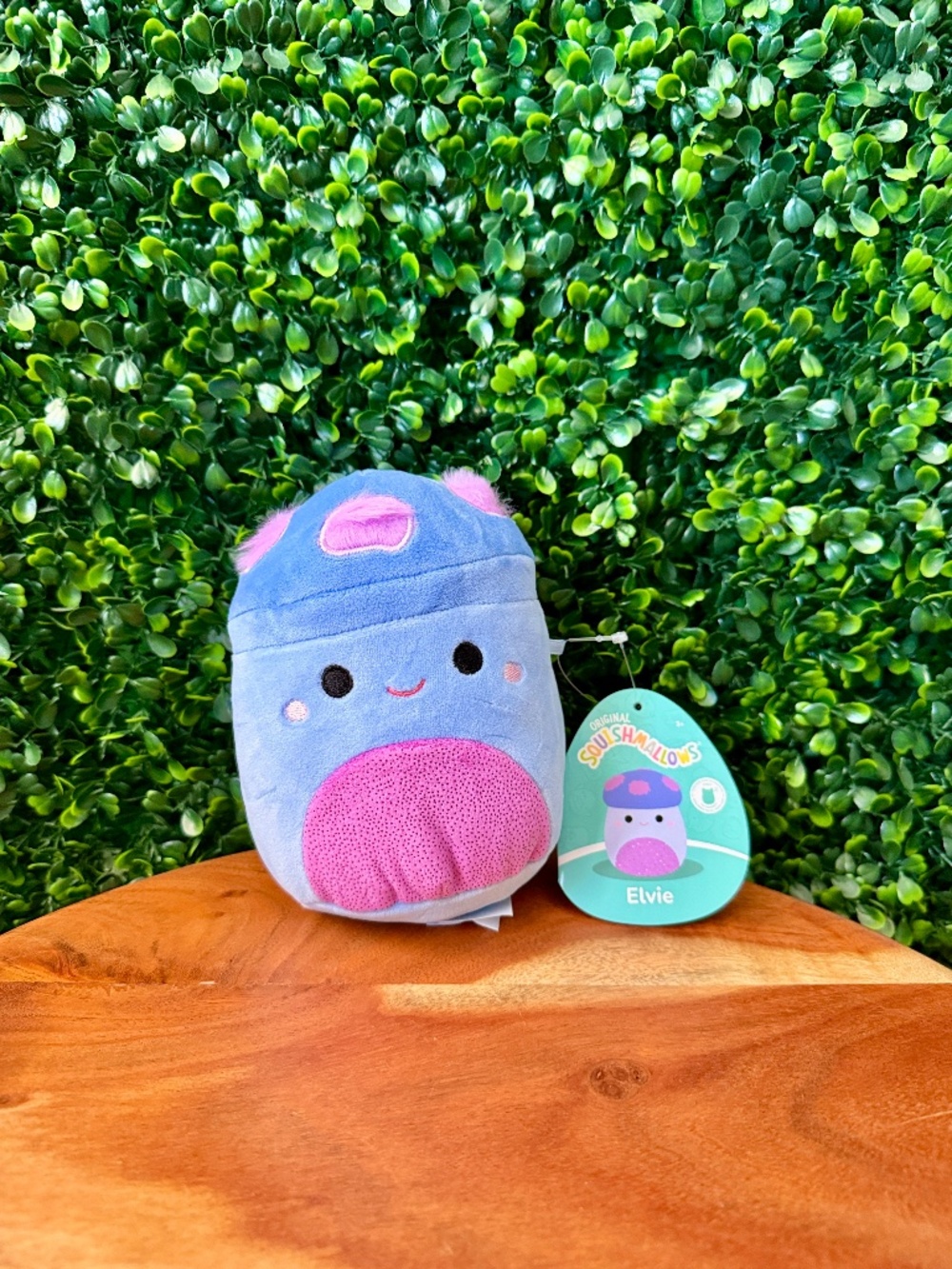 Elvie the Mushroom 5” Mystery Scented Squishmallow